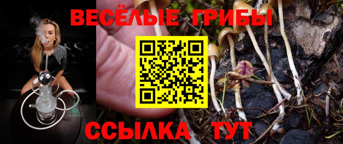 Галлюциногенные грибы мухоморы Шебекино