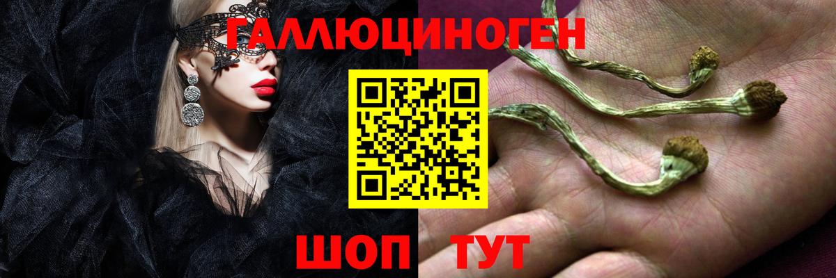 Шебекино  наркотики  Вход с VPN  Псилоцибиновые грибы мицелий 